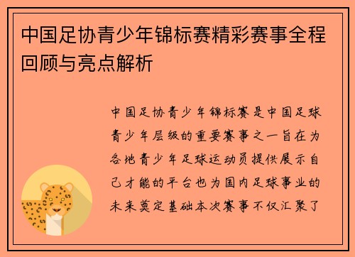 中国足协青少年锦标赛精彩赛事全程回顾与亮点解析